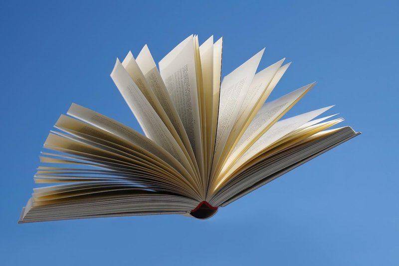 I Ging vollständiger Text: Interpretation der 64 Hexagramme und detaillierte Erläuterungen der Linien